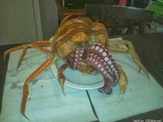 ▲사진=온라인게시판