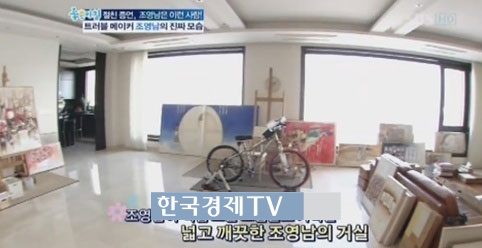 조영남, 궁궐같은 집 공개...시세는 얼마