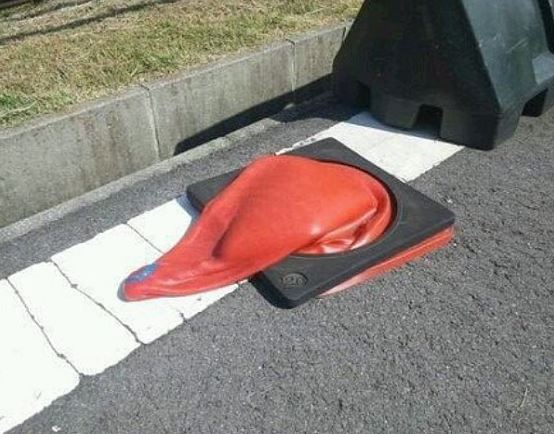 ▲(사진=온라인커뮤니티)