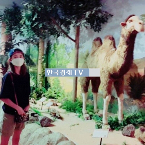 나 이제 대졸이야 남보라, 낙타 옆에 서서 "메르스 조심해!"