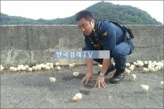 사진=인터넷게시판