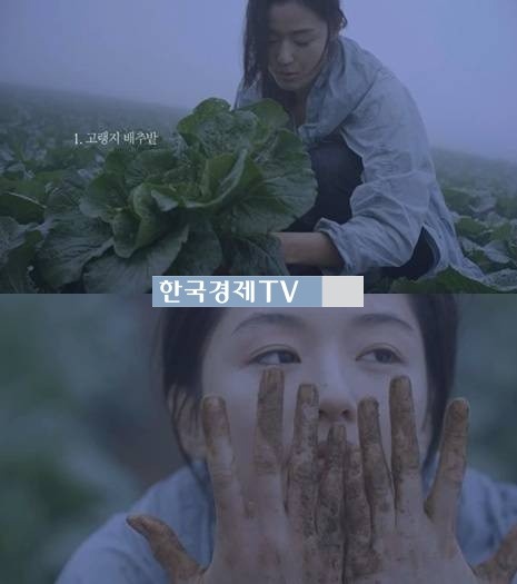 임신 6개월 전지현, ‘밭 메는 전지현 마저 여신급이라니..’
