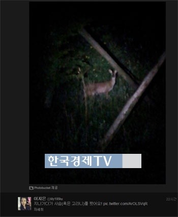아이유 푸르던, ‘고라니 처음 본 아이유 신기해 화들짝’