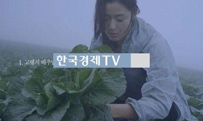 임신 6개월 전지현, ‘고랭지 배추밭에서 마주친 그녀 조차…여신’