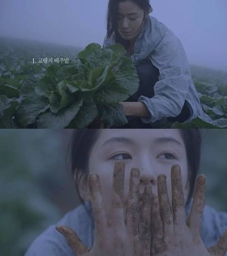 전지현 대통령 표창, ‘배추밭에서 배추 수확하는 모습도…여신이네’