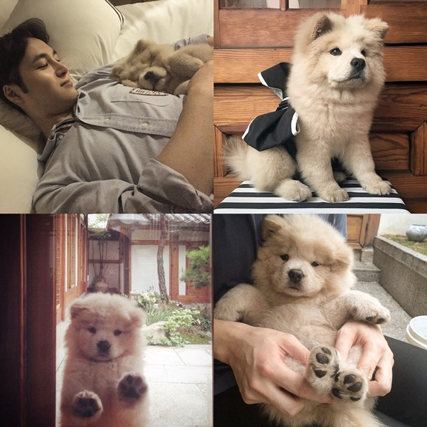 택시 양태오, 반려견과 화보같은 일상 공개 '훈훈'