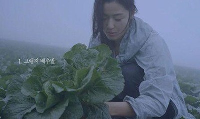 올해를 빛낸 탤런트 전지현, ‘새벽녘 고랭지 배추밭에서 포착된 농사룩 마저 여신’