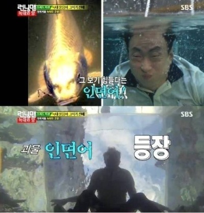박명수 가발 논란, 물 속에 입수하는 순간…인면어 인 줄