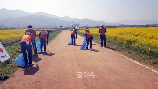 사회봉사명령대상자들이유채꽃축제행사주변환경정비를하고있다.(사진제공=부산준법지원센터)