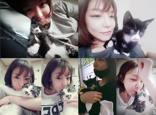 배우 신소율, 고양이와 즐거운 한 때 포착