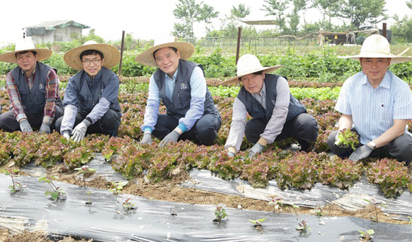 김현웅 법무부 장관이 25일 경기도 시흥시에 있는 안산보호관찰소(준법지원센터) 나눔농장을 방문하여 채소 수확 봉사활동을 하고 있다. (사진=법무부)