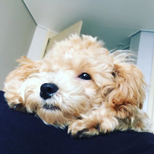 사진=남주혁 인스타그램