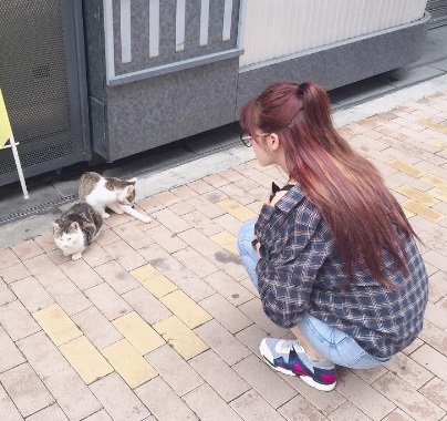 나인뮤지스 현아, 길고양이 향한 깜찍 애교 "나 좀 봐줘~"