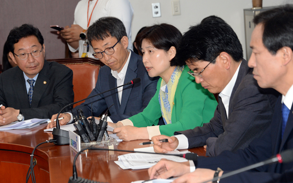 발언하는 백혜련 원내부대표(사진=더불어민주당 홈페이지)