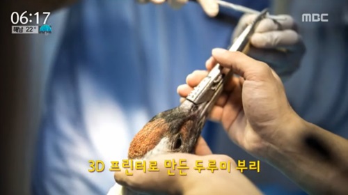 사진=MBC 방송캡처