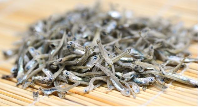 (사진제공=통영해)