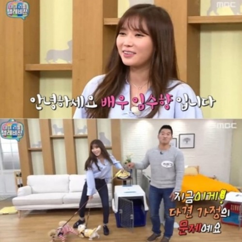 강형욱 보러 임수향이 직접?...'도대체 무슨 일이길래'