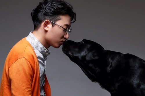 펫을부탁해, 강아지 문제행동 개선하는 방문훈련 ‘인기’