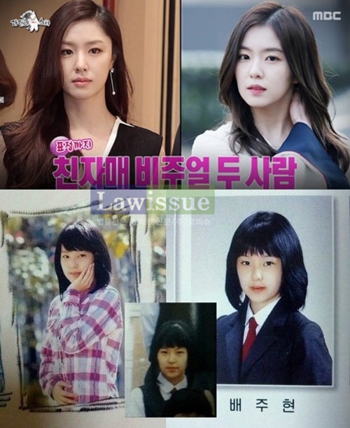 서지혜, 아이린과 도플갱어? 사진 속 모습 보니 '이 정도 일 줄'