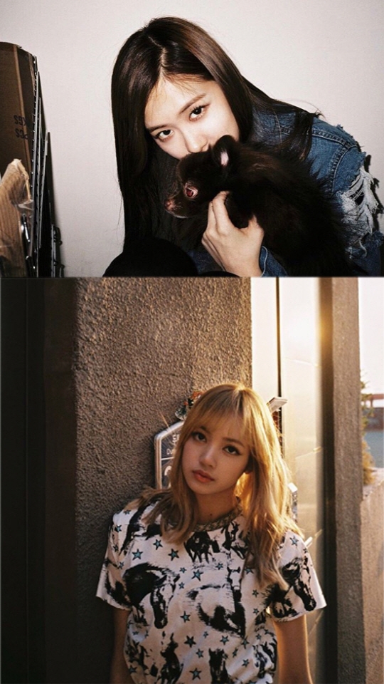 마리텔 블랙핑크, 광고 비하인드컷 보니 4인 4색 매력 선보여 '이 정도 일 줄'