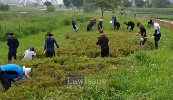 사회봉사명령대상자들이 태화강 일대 정화활동을 벌이고 있다.