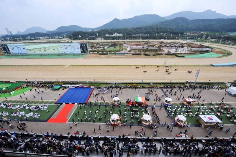 지난해 9월11일 열린 코리아컵 현장 전경. (사진=한국마사회)