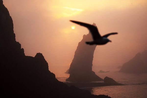 (사진=유디치과 제공)