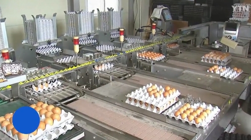 피프로닐 추가 검출, 살충제 달걀 '08마리 08 LSH'...먹거리 비상 '어쩌나'