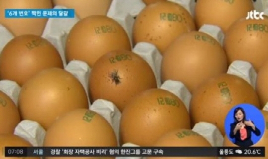 번호 확인은 필수가 된 세상... 피프로닐 파동 점점 더 드러나는 민낯