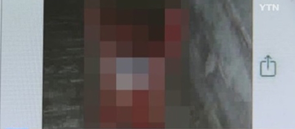 부산 여중생폭행 '보고도 눈을 의심케 하는...민심은 부들부들'