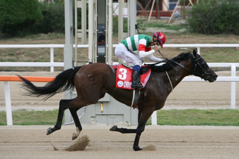 코리아컵 3번마 크리솔라이트 후지이 기수. (사진=한국마사회)
