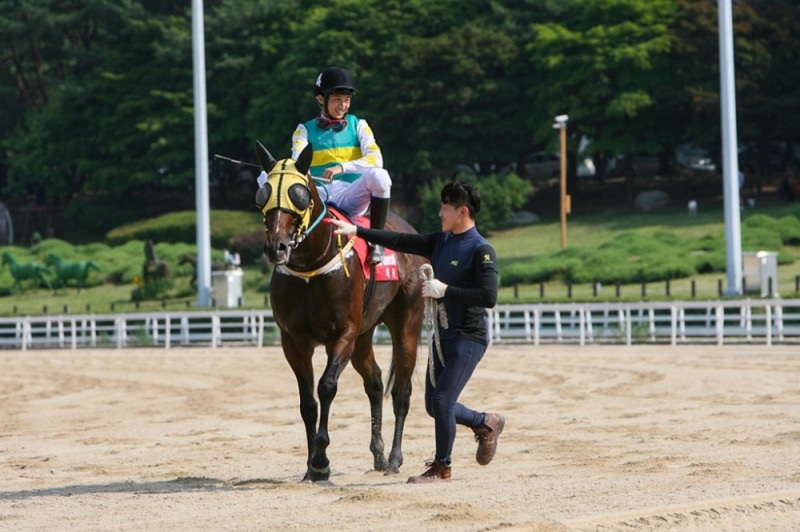스피드 최강마 페르디도포머로이.(사진=한국마사회)