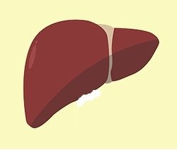 40세 이상 조기 예방 가능한 ‘간암’ 건강진단으로 챙겨라