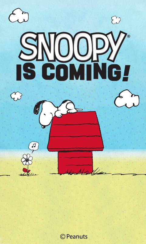 선데이토즈의 해외 도입 첫 IP는 뭐?