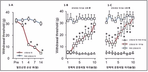 운동피질 자극 후 그룹별 물리적 반응에 의한 역치 변화정도 측정 그래프(사진 =연세대학교 의료원)