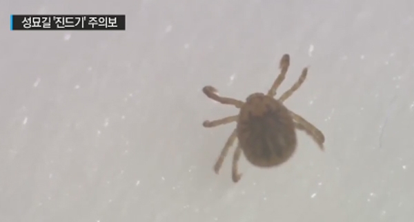 '해마다 엄습하는 공포' 살인 진드기, 우리는 알면서도 놓쳐?