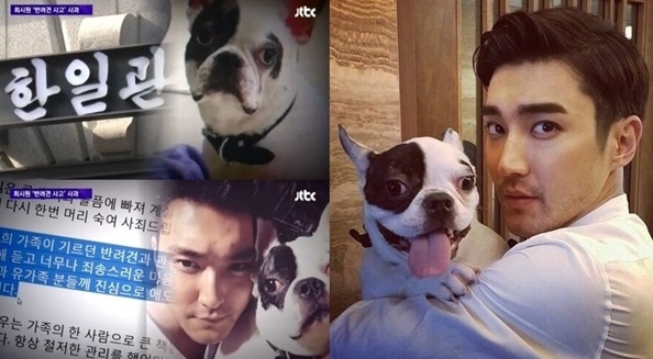 '패혈증 사망' 한일관 대표 습격 犬,주인 최시원 향한 분노글 이어져...왜?