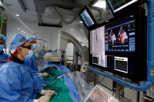 경피적 대동맥판막 치환술(TAVI)(사진=국민건강보험 일산병원)