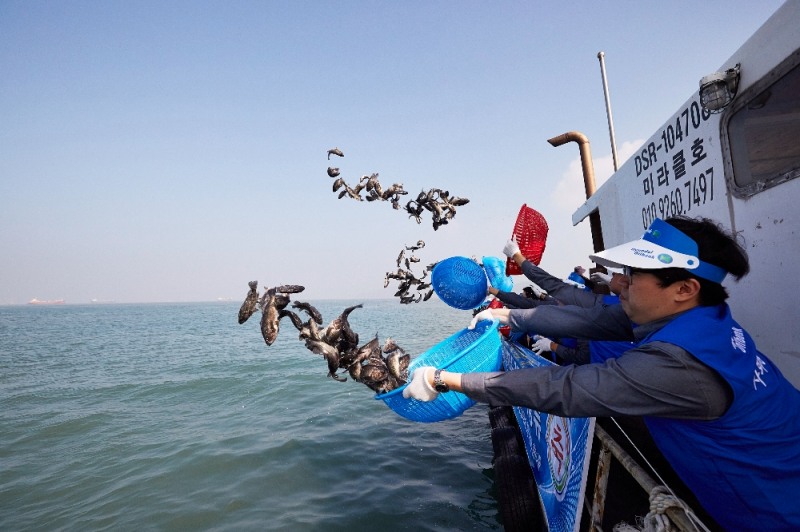 현대오일뱅크 직원들이 지난해 삼길포 우럭축제를 앞두고 새끼 우럭을 방류하고 있다. 현대오일뱅크는 삼길포 해역에서 2002년부터 새끼 우럭을 방류하고 있다.(사진=현대오일뱅크)
