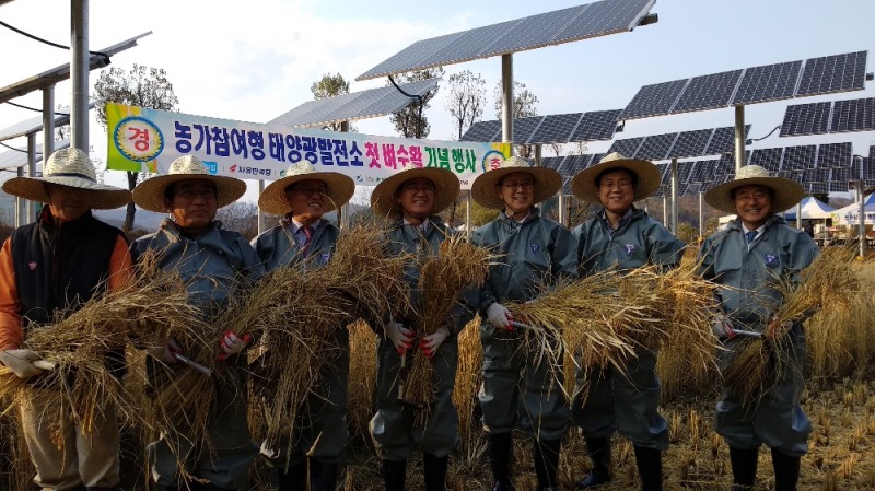 추수행사 전경. (사진=한국수력원자력)