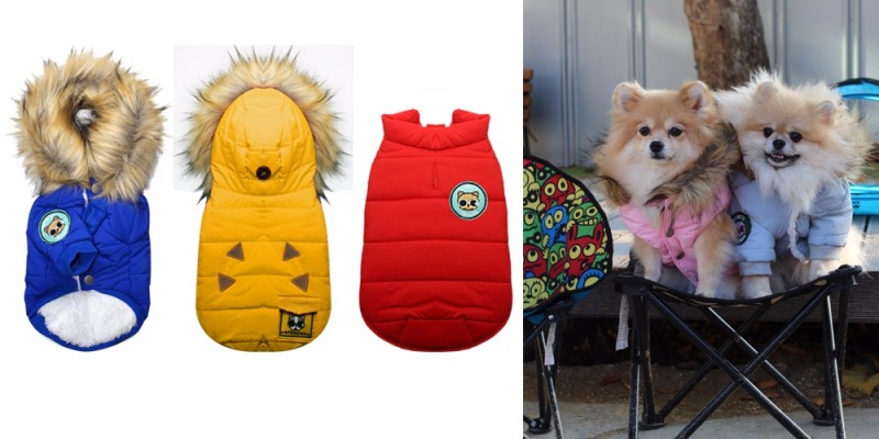 더시크릿, 애완견 패딩 3종 세트 공개