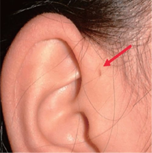 (사진=고려대학교 구로병원)