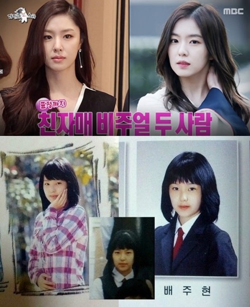 아이린, 서지혜 도플갱어? 사진 비교해보니...'이 정도 일 줄'
