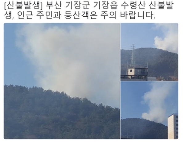 '기장산불' 또...현재 당국 방화선 구축 총력 '거센 바람 난항'