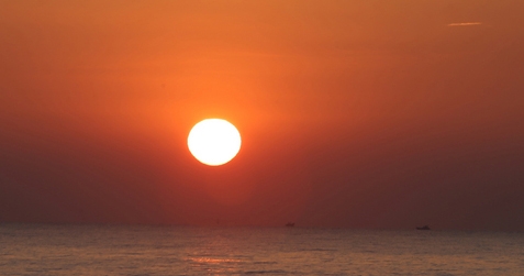 2018년 새해 황금개띠해 맞은 46년-58년-70년생 등 오늘의 운세...'좋은 날'