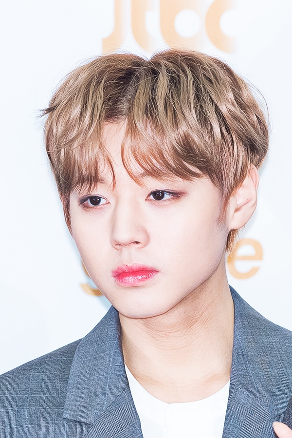 워너원(Wannane) 박지훈, ‘제32회 골든디스크’ 음원 부문 시상식 레드카펫 행사
