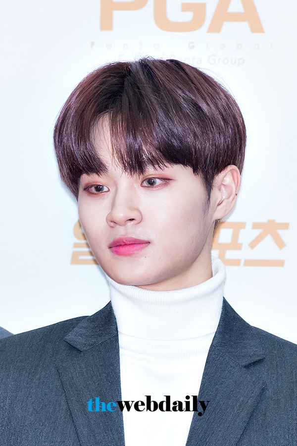 워너원(WannaOne) 이대휘, ‘제32회 골든디스크’ 음원 부문 시상식 레드카펫 행사