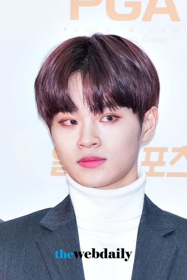 워너원(WannaOne) 이대휘, ‘제32회 골든디스크’ 음원 부문 시상식 레드카펫 행사