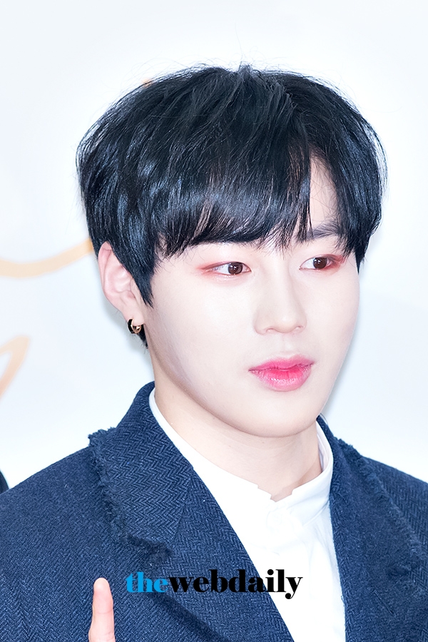 워너원(WannaOne) 하성운, ‘제32회 골든디스크’ 음원 부문 시상식 레드카펫 행사