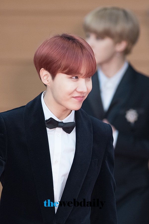 방탄소년단(BTS) 제이홉, ‘제32회 골든디스크’ 음반 부문 시상식 레드카펫 행사